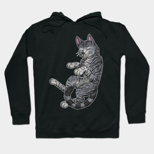 Grey Tabby Shorthair Hoodie